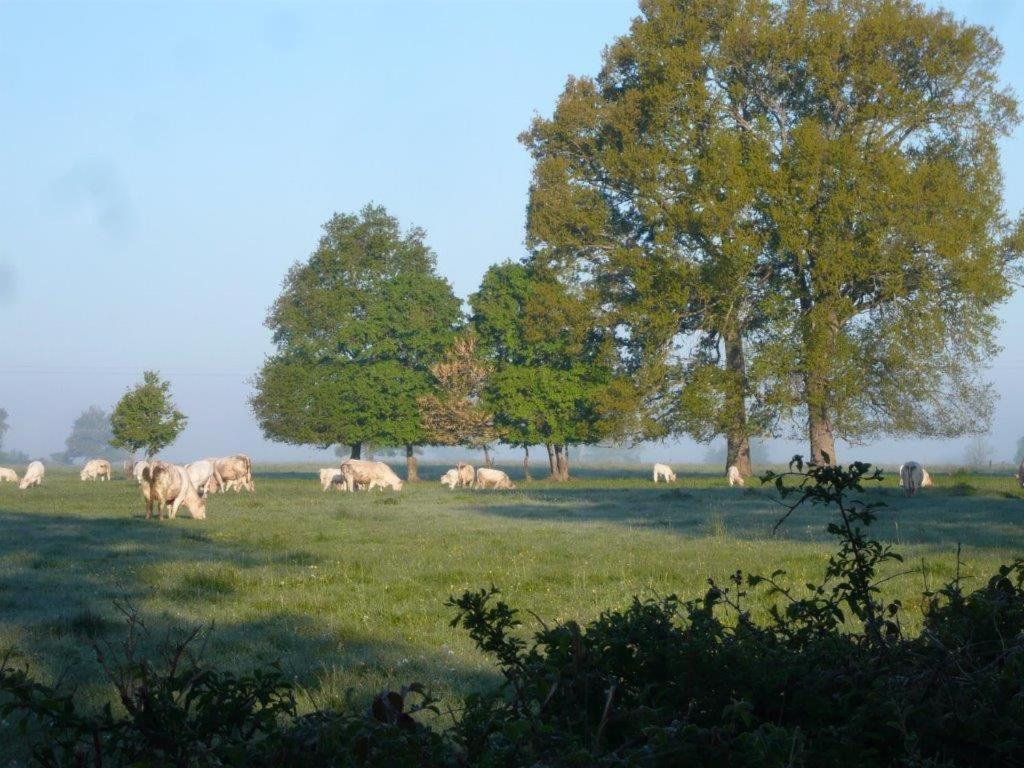 Bed and Breakfast La Thibaude - Livry Livry  Экстерьер фото